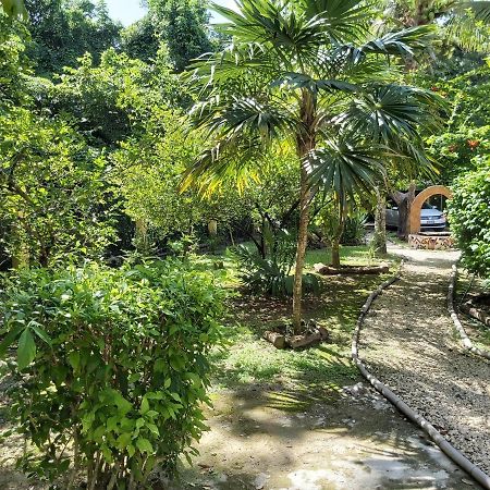 Villa Mini Pini Bird Watching And Cenote Loft à Cozumel Extérieur photo