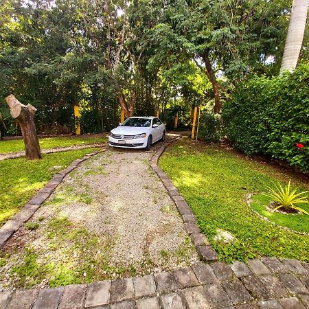 Villa Mini Pini Bird Watching And Cenote Loft à Cozumel Extérieur photo