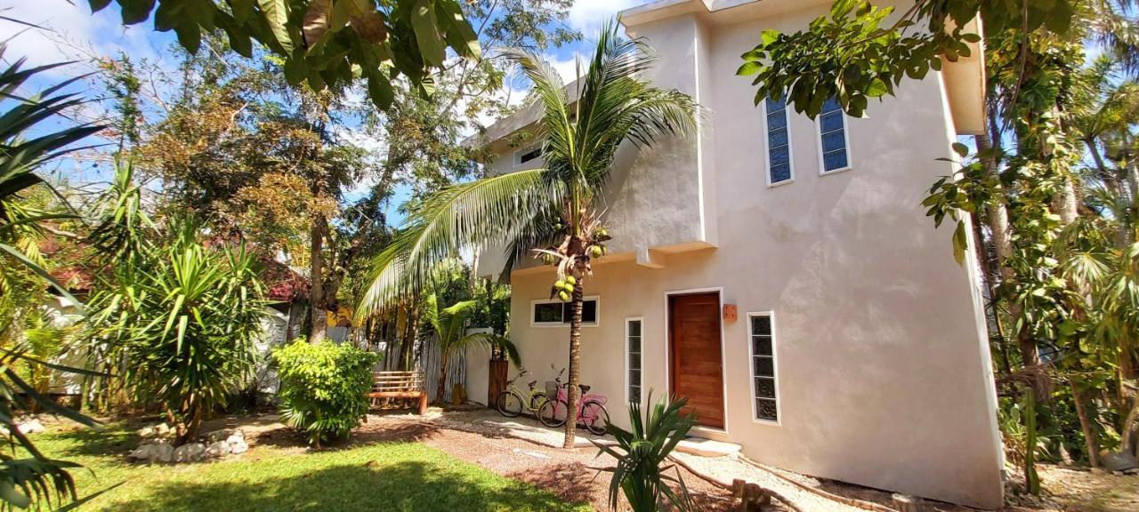 Villa Mini Pini Bird Watching And Cenote Loft à Cozumel Extérieur photo