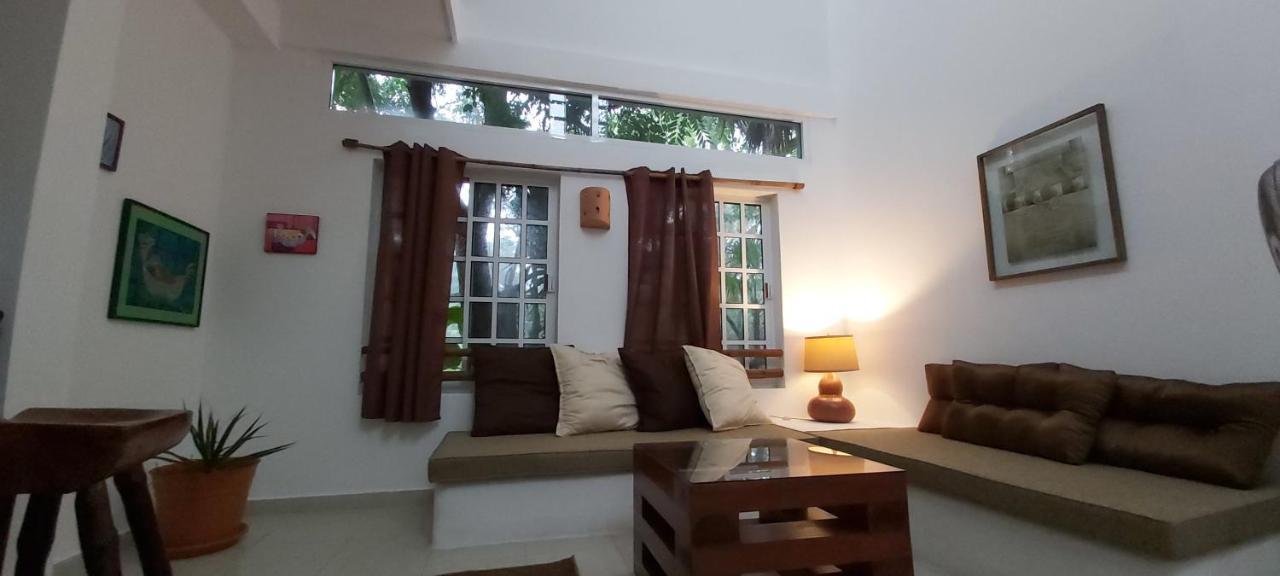 Villa Mini Pini Bird Watching And Cenote Loft à Cozumel Extérieur photo