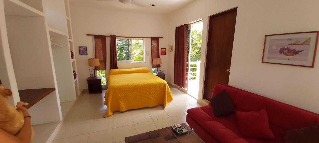Villa Mini Pini Bird Watching And Cenote Loft à Cozumel Extérieur photo