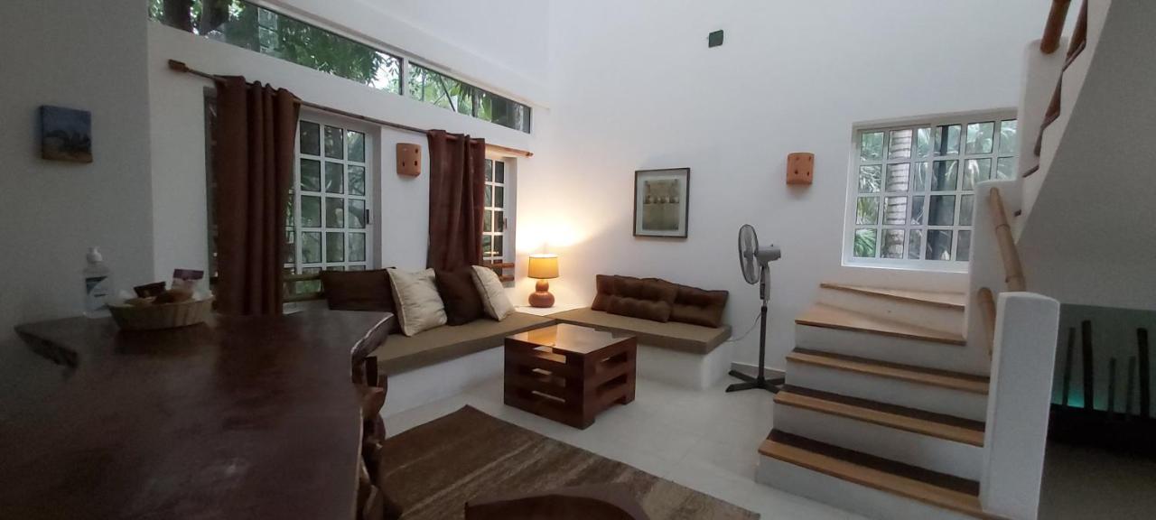 Villa Mini Pini Bird Watching And Cenote Loft à Cozumel Extérieur photo