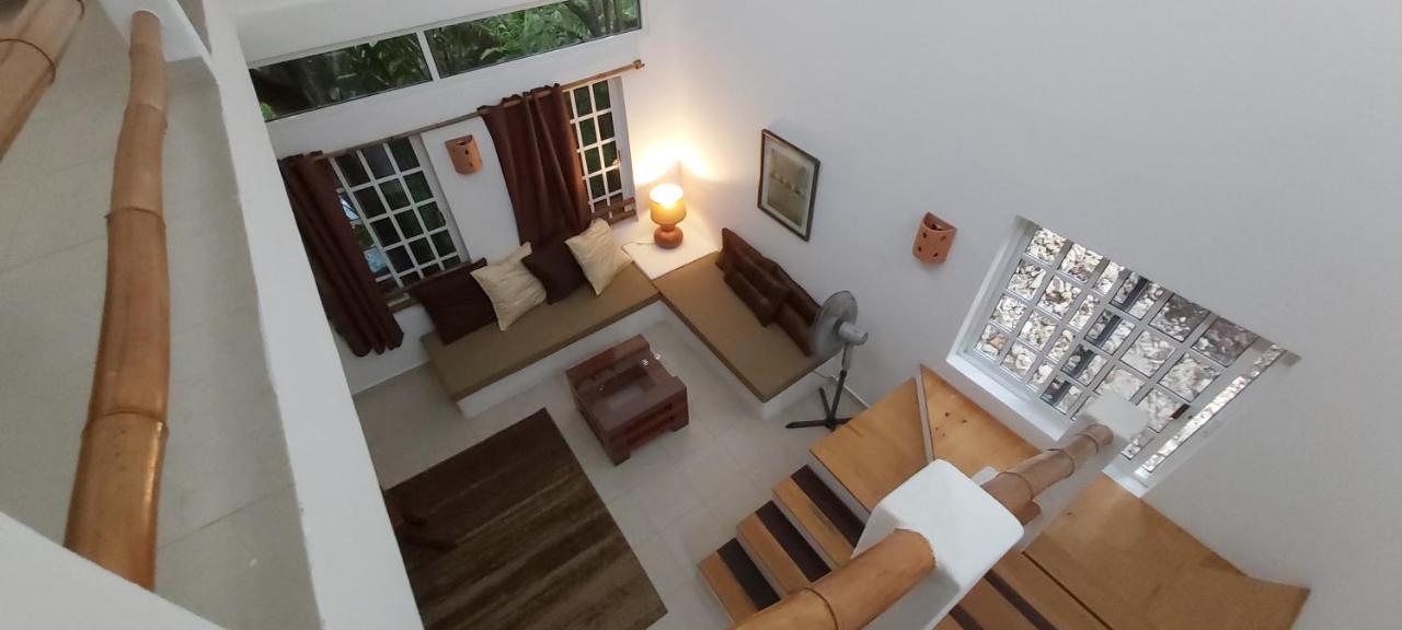 Villa Mini Pini Bird Watching And Cenote Loft à Cozumel Extérieur photo