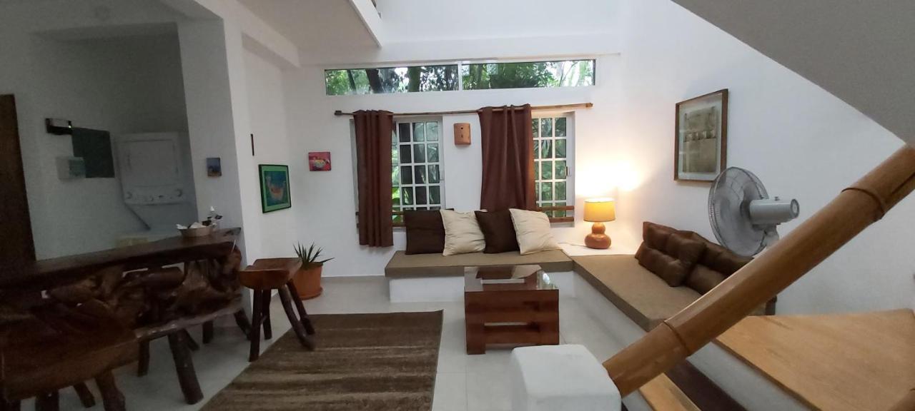 Villa Mini Pini Bird Watching And Cenote Loft à Cozumel Extérieur photo