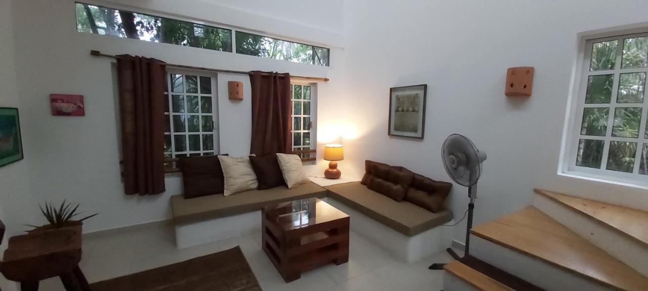 Villa Mini Pini Bird Watching And Cenote Loft à Cozumel Extérieur photo