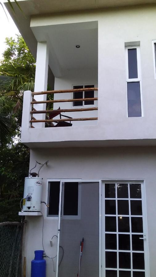 Villa Mini Pini Bird Watching And Cenote Loft à Cozumel Extérieur photo