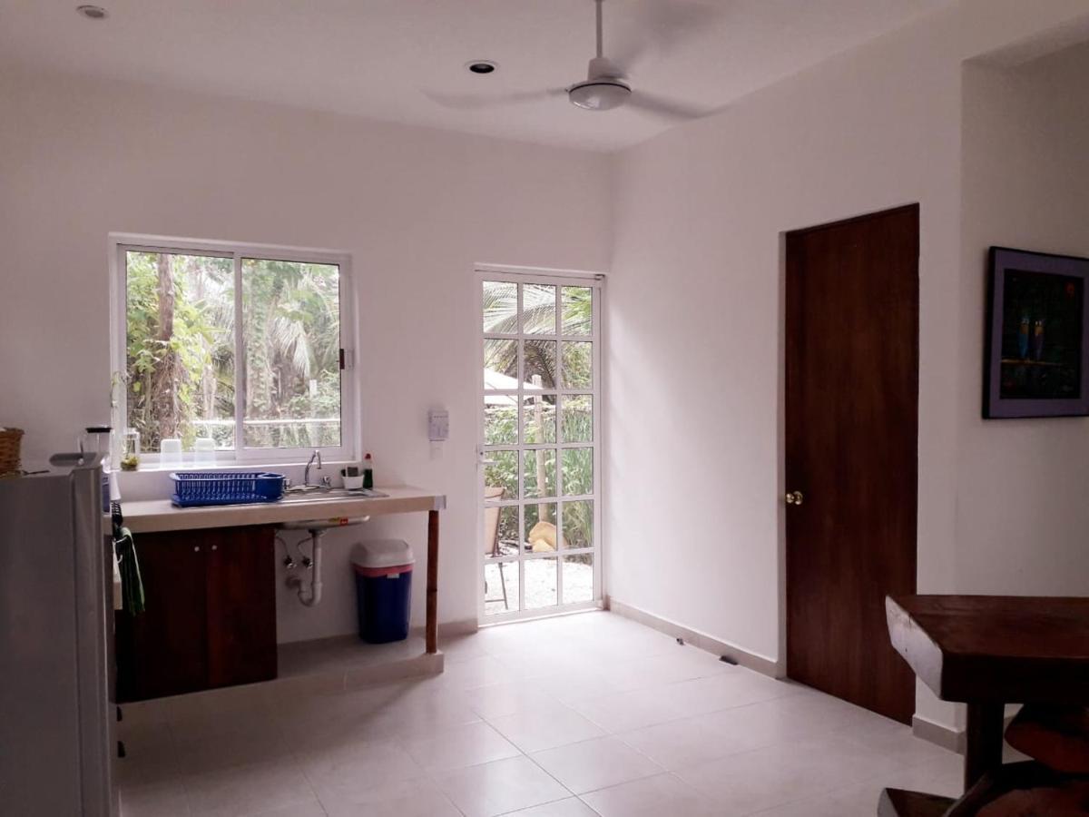 Villa Mini Pini Bird Watching And Cenote Loft à Cozumel Extérieur photo