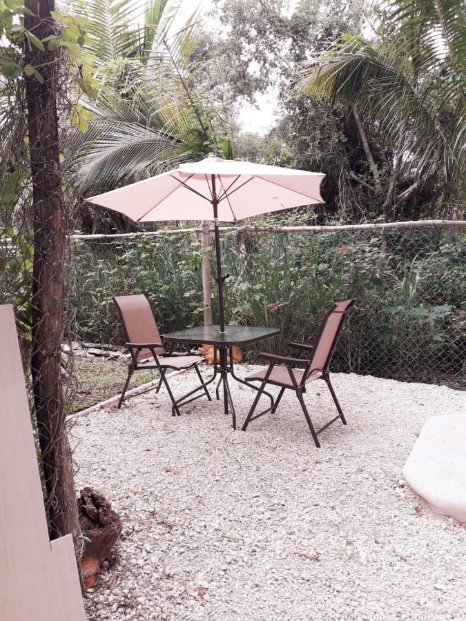 Villa Mini Pini Bird Watching And Cenote Loft à Cozumel Extérieur photo
