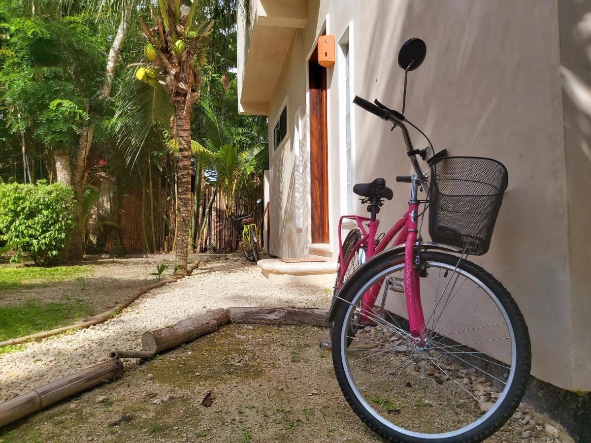 Villa Mini Pini Bird Watching And Cenote Loft à Cozumel Extérieur photo