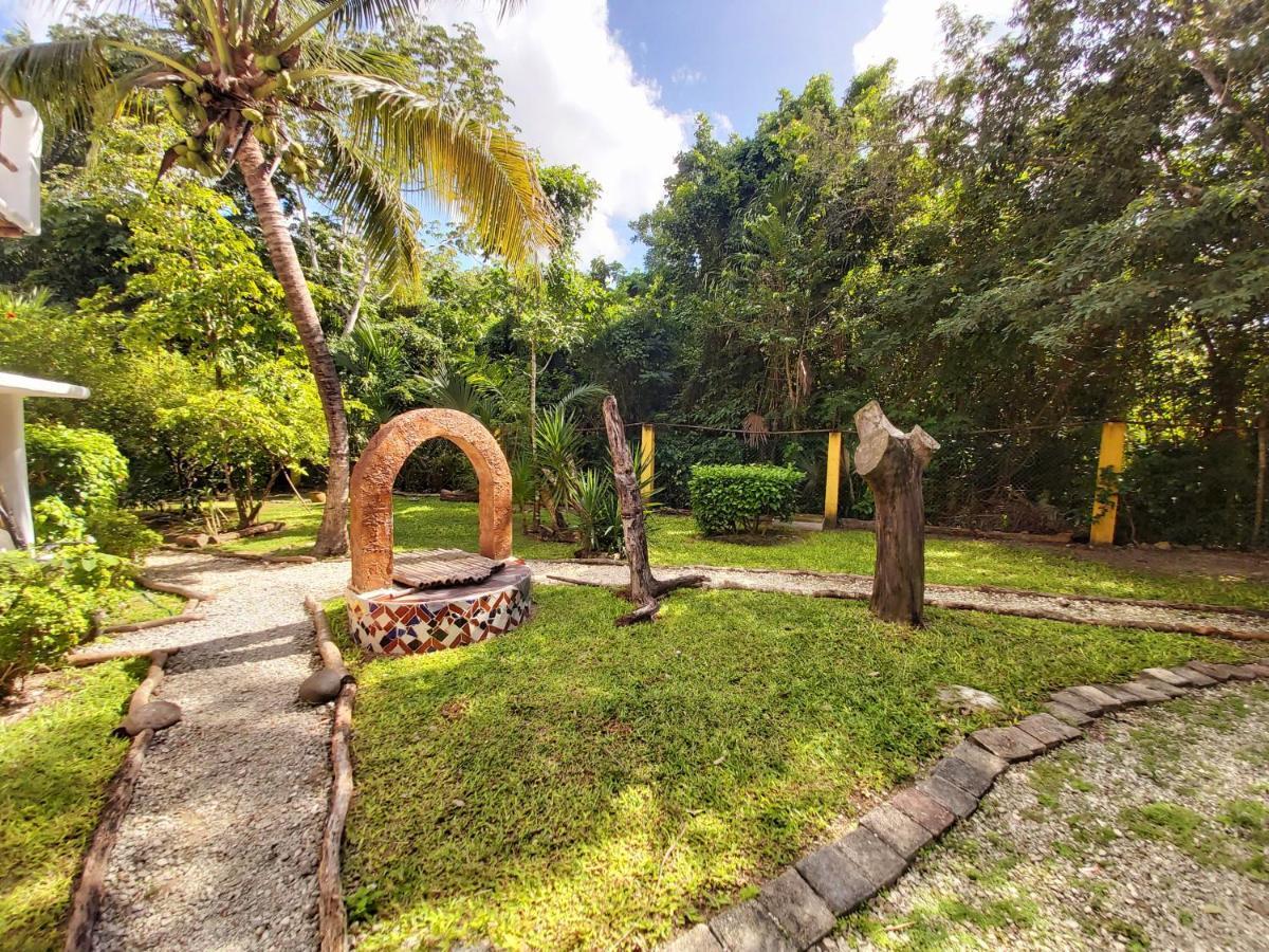 Villa Mini Pini Bird Watching And Cenote Loft à Cozumel Extérieur photo