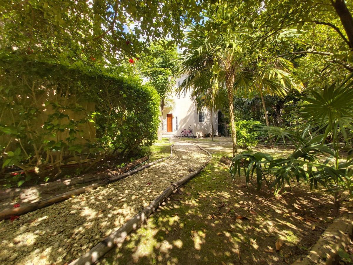 Villa Mini Pini Bird Watching And Cenote Loft à Cozumel Extérieur photo
