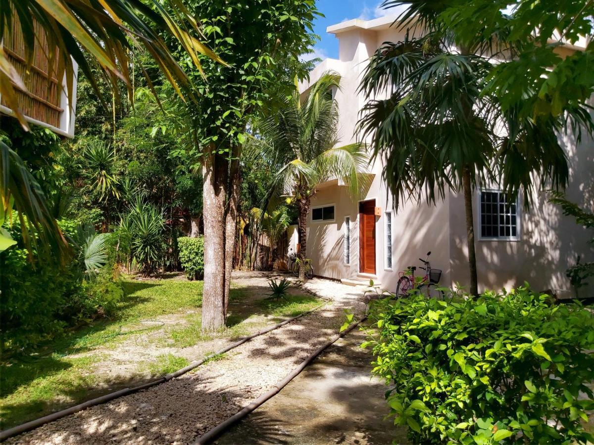 Villa Mini Pini Bird Watching And Cenote Loft à Cozumel Extérieur photo