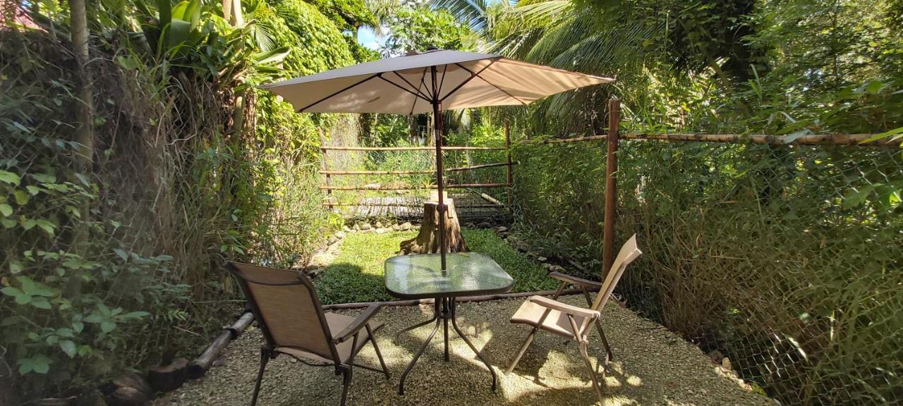 Villa Mini Pini Bird Watching And Cenote Loft à Cozumel Extérieur photo