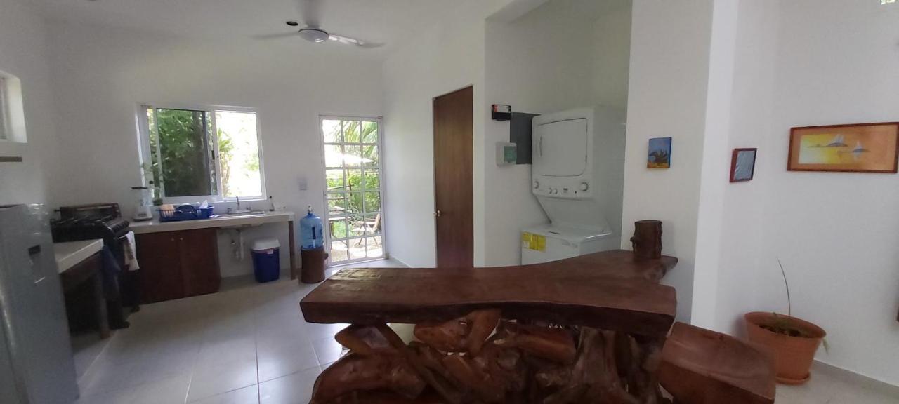 Villa Mini Pini Bird Watching And Cenote Loft à Cozumel Extérieur photo
