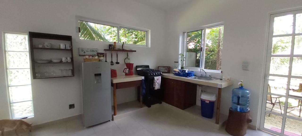 Villa Mini Pini Bird Watching And Cenote Loft à Cozumel Extérieur photo