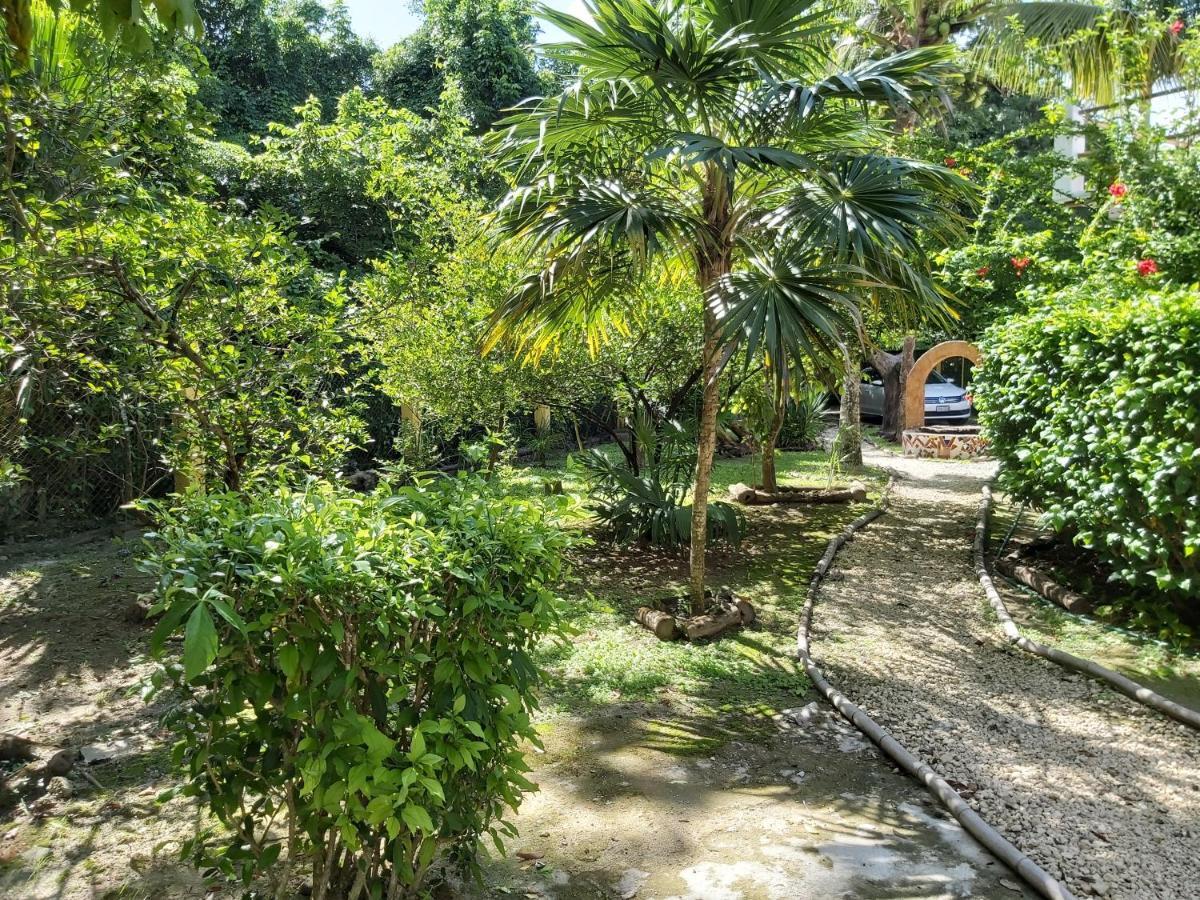 Villa Mini Pini Bird Watching And Cenote Loft à Cozumel Extérieur photo