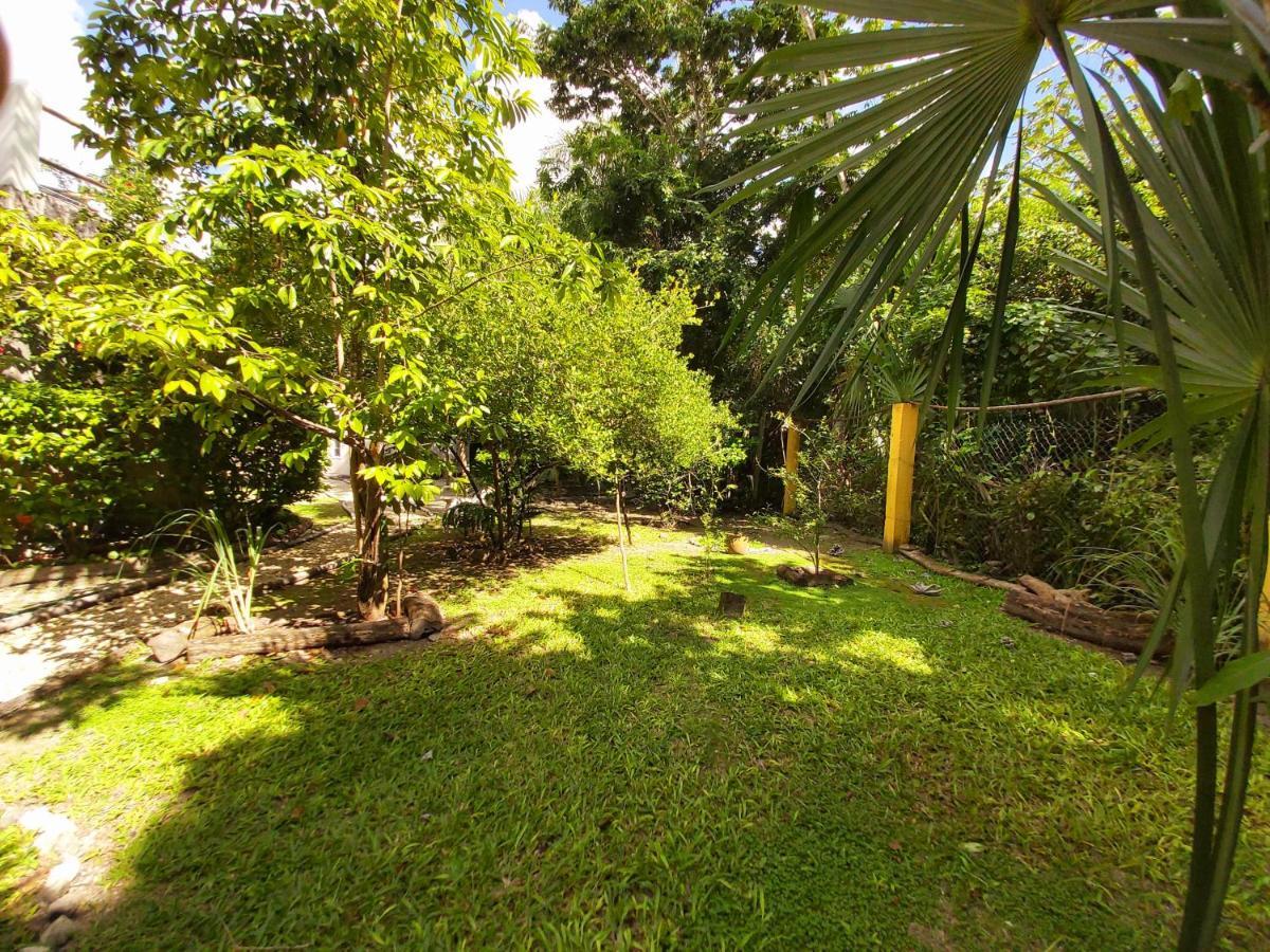 Villa Mini Pini Bird Watching And Cenote Loft à Cozumel Extérieur photo